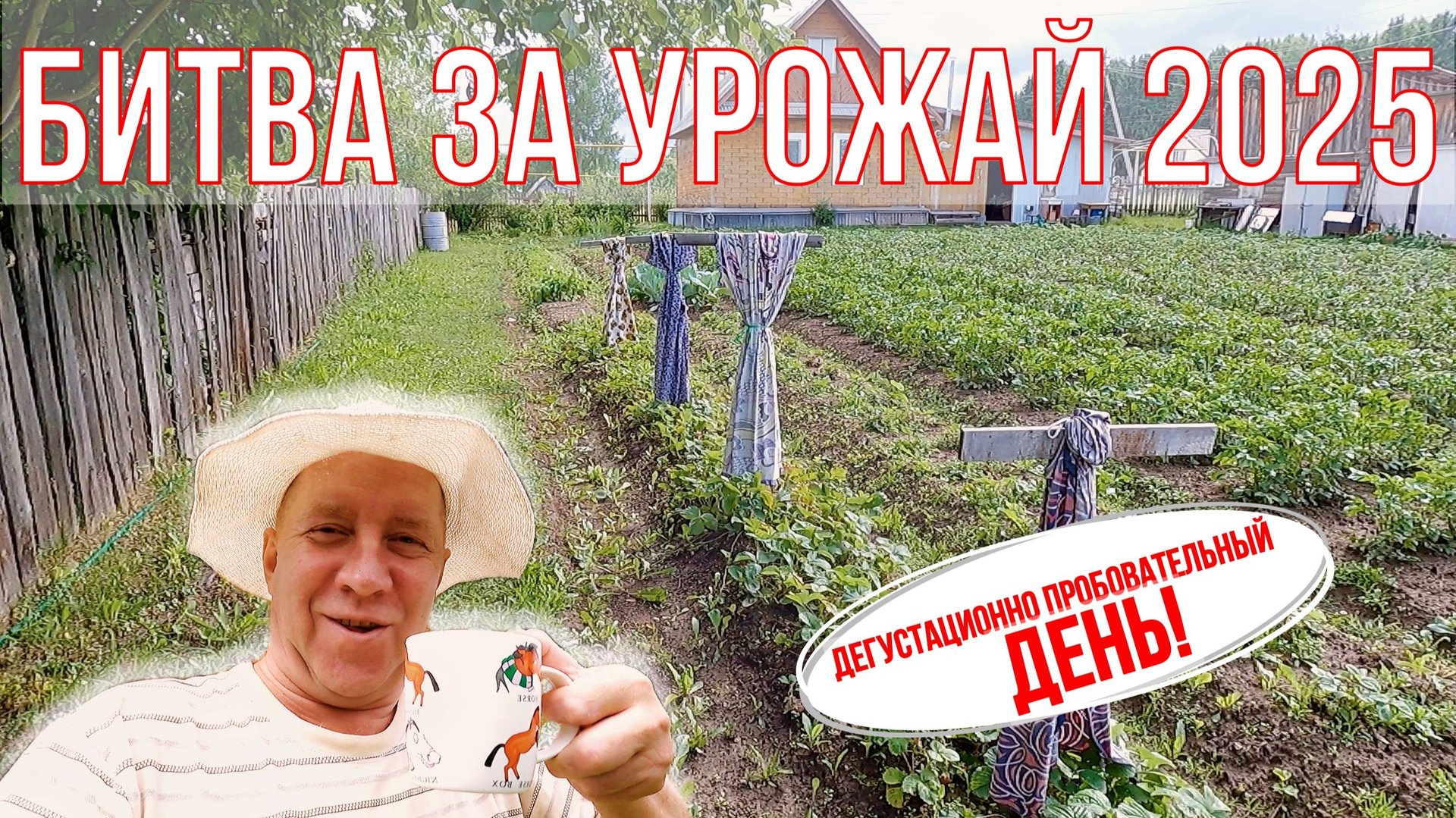 Окучиваем картошку... Первая попытка провалилась. Снимаю пробу. Битва за УРОЖАЙ 2025.