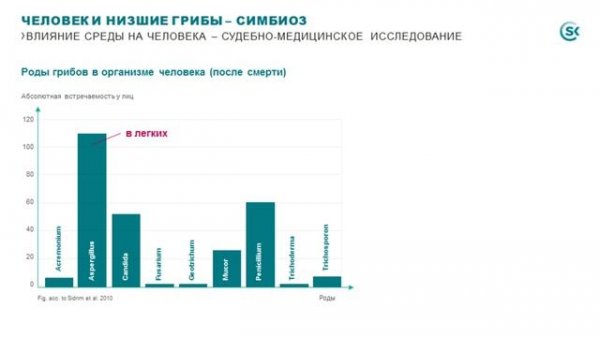 Принципы САНУМ-терапии