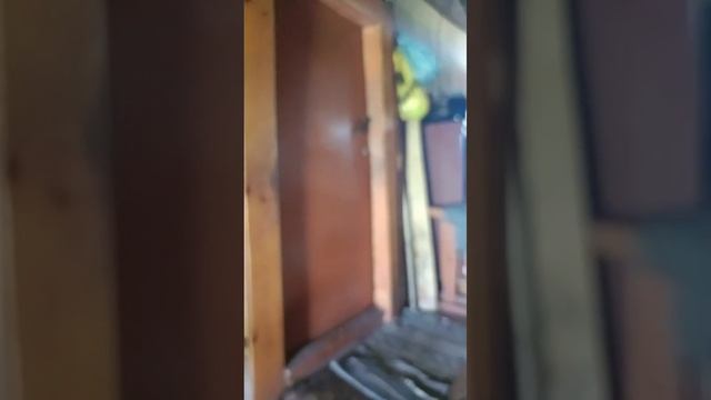 video_2025-07-07_14-35-17 смотреть онлайн