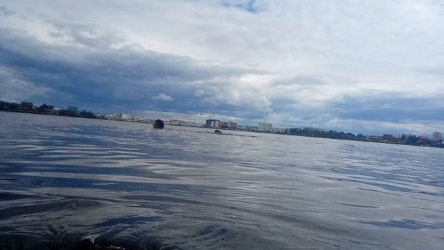 Купаюсь в озере