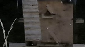 Снял рой. А может и не рой ,или и не снимал. Ничего не понял. Чудеса.