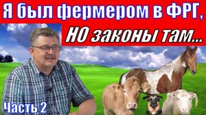 Я пытался создать маленькую Родину...