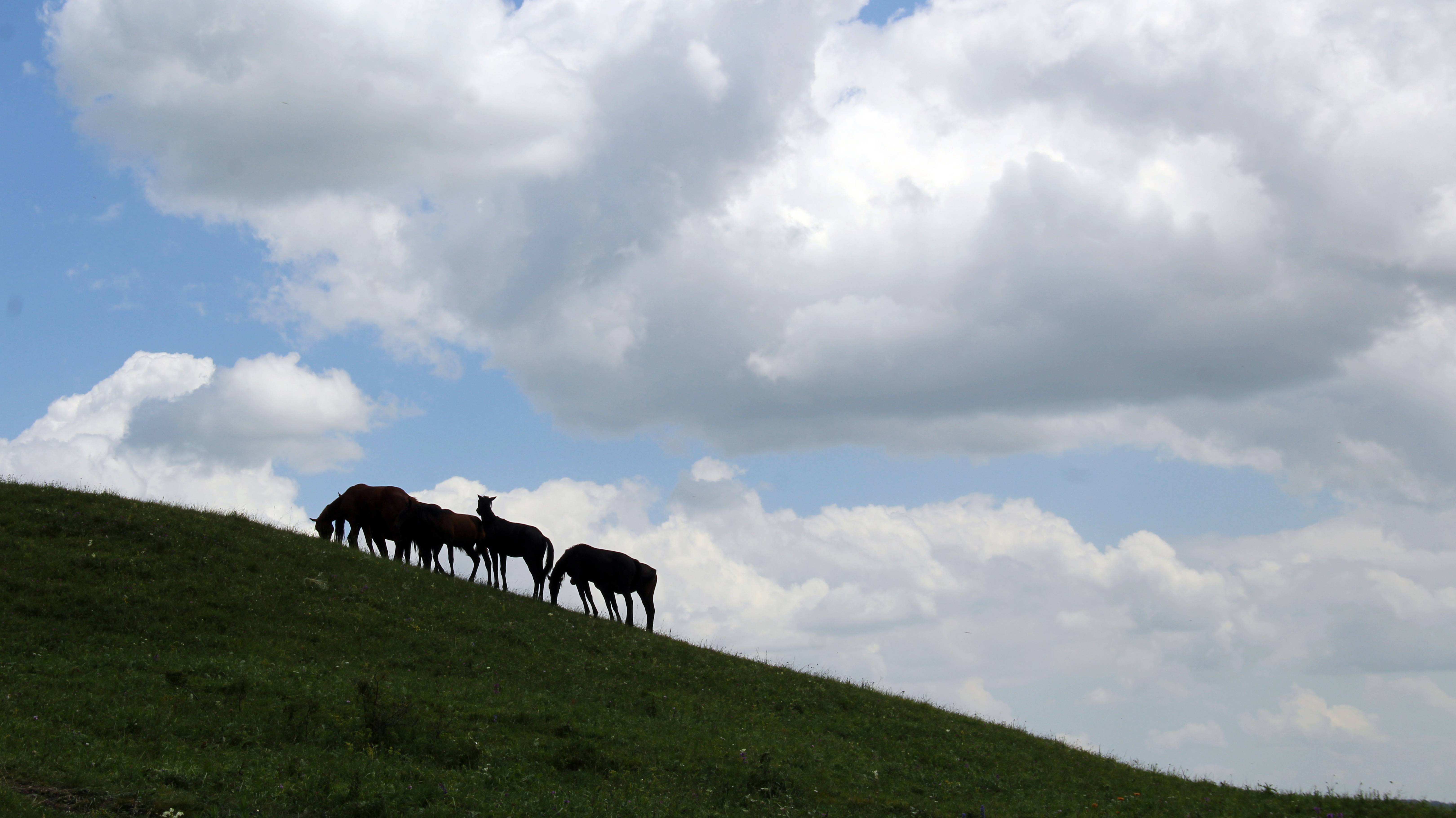 Большое и Малое сёдла