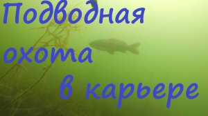 Подводная охота в карьере