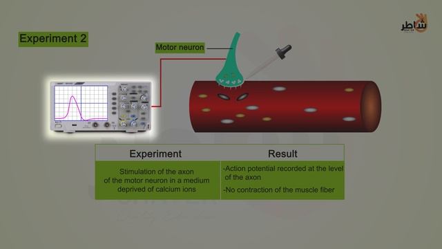 Synaptic Transmission-Eng (1080p With 25fps)