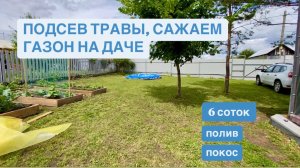 Подсев травы, газон на даче. Уход, покос, полив
