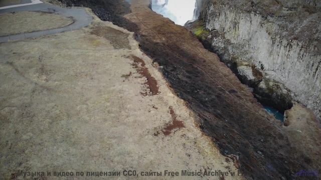 Что на самом деле происходит в этом лесу Это невероятно! - Skammers - Aloe Barbadenses Leaf And Cucu