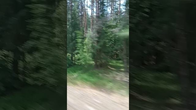 Красивые места в Псковской области смотреть онлайн