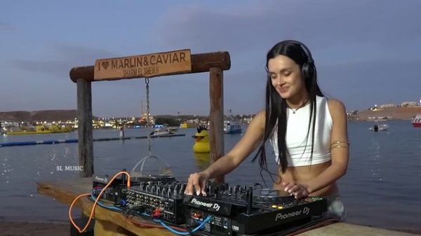 Акула - Я убегаю Remix