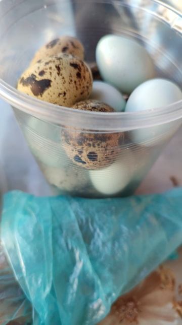 Моё хозяйство! смотреть онлайн