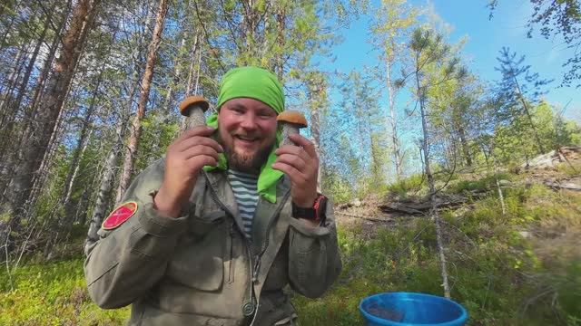 ТАКОГО Я НЕ ОЖИДАЛ. ГРИБАЛКА МЕЧТЫ. СБОР ГРИБОЧКОВ В ДИЧАЙШЕМ МЕСТЕ. ГРИБНИК ОЧЕНЬ ДОВОЛЕН смотреть онлайн