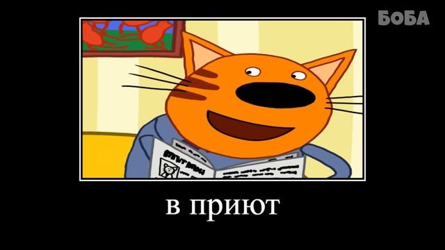 ТРИ КОТА, НО ЭТО ЛЮТАЯ РЖАКА 😂