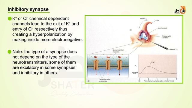Integrative properties_Eng (1080p with 25fps) смотреть онлайн