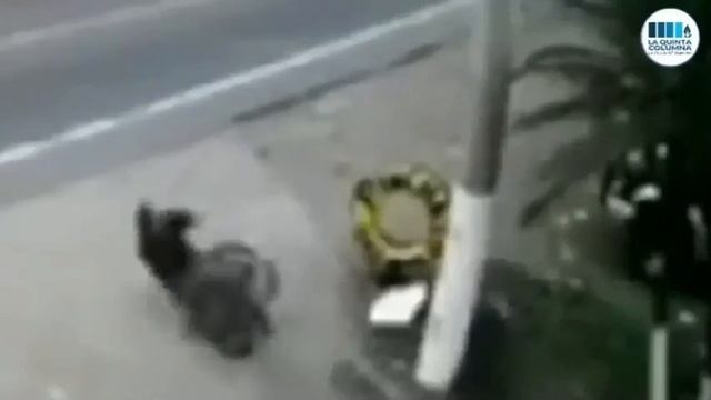 Бразильский доктор Оскар Розалес раскрывает суть электромагнитных излучений смотреть онлайн