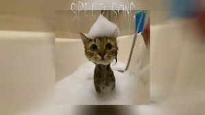 плейлист_песен_из_тик_тока_speed_up