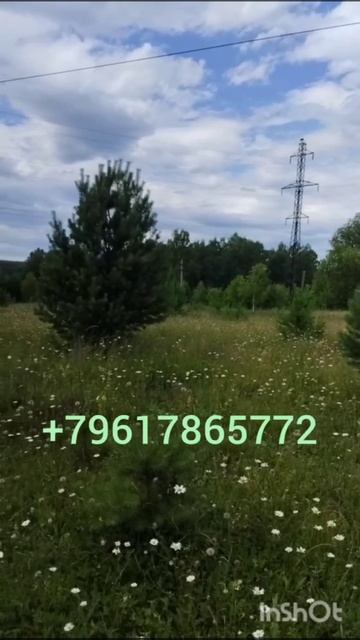 video_2025-07-07_13-06-32 смотреть онлайн