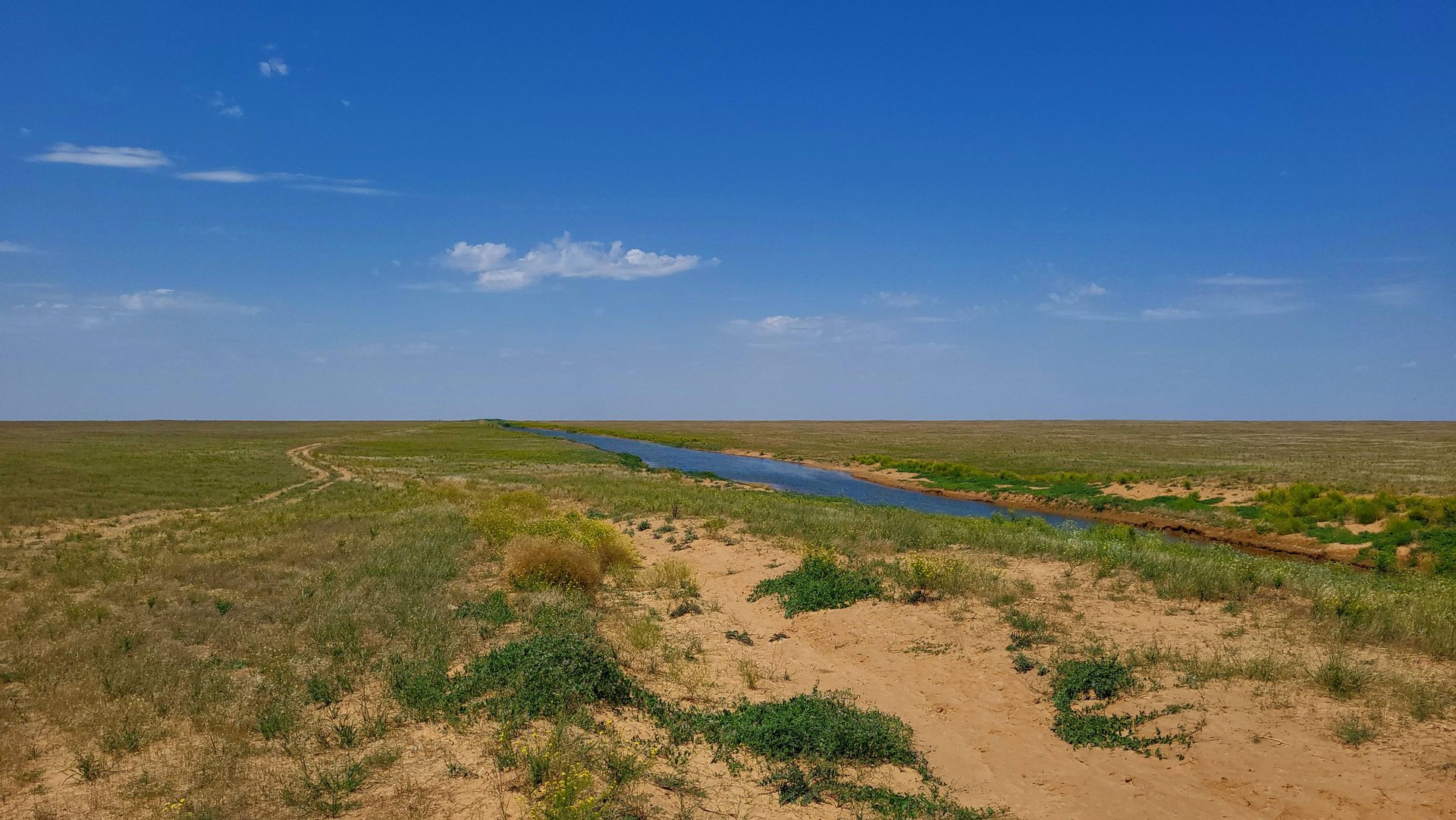 Дикая Калмыкия. Чёрные земли - один день из жизни животных. Часть вторая - "Полдень" смотреть онлайн