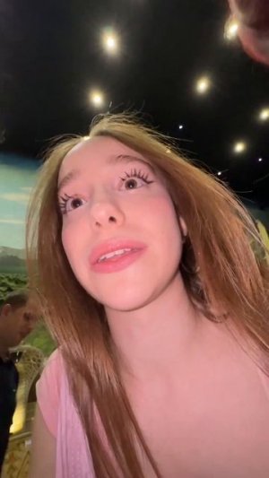 остановили аттракцион 😱