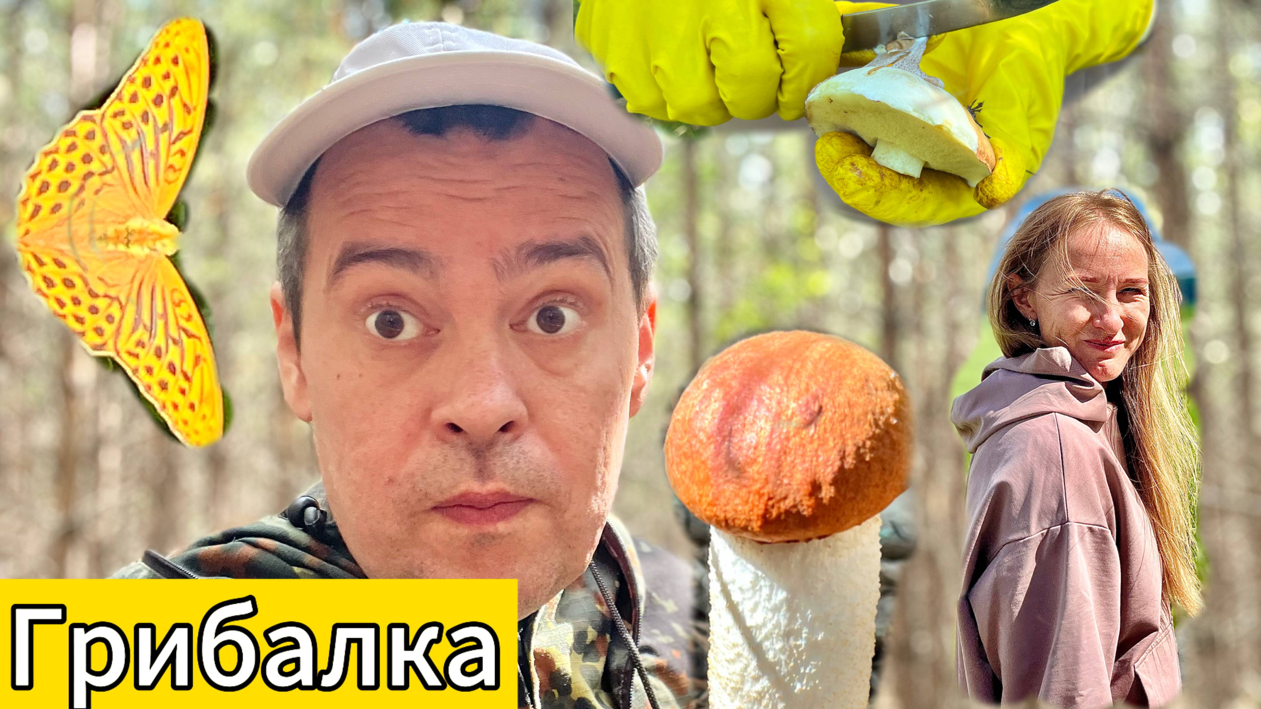 Баскетболисты ДиР 🔥Отправились на Грибалку .. готовим Улов.. Лайфстайл! смотреть онлайн