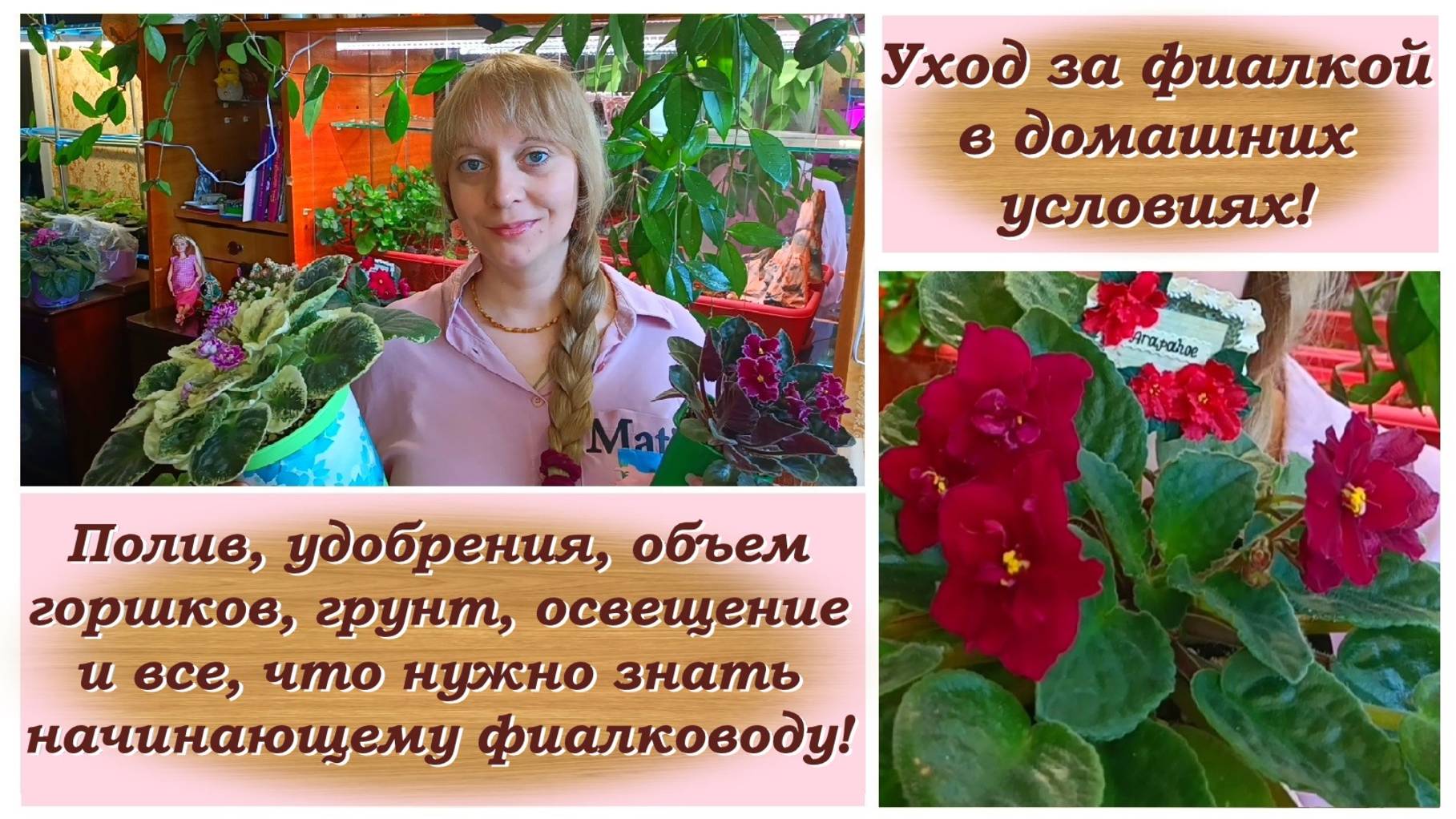 Уход за фиалкой в домашних условиях!