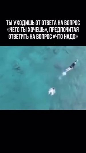 Надо, надо. А что хочешь?