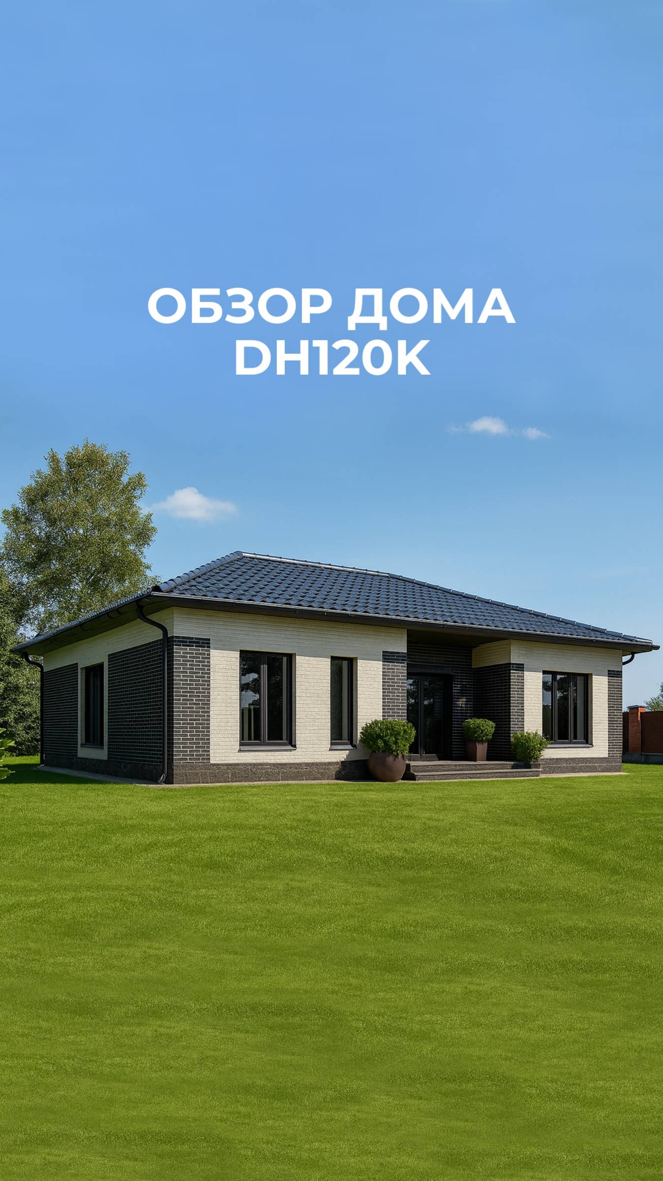 DH120k СК "Дрим Хаус" смотреть онлайн