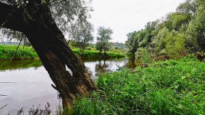 ТОЛЬКО ЗАКОНЧИЛ РЫБАЛКУ И ПОПЛЫЛ ОБРАТНО, КАК СРАЗУ НАЧАЛОСЬ ТАКОЕ ловля щуки на спиннинг