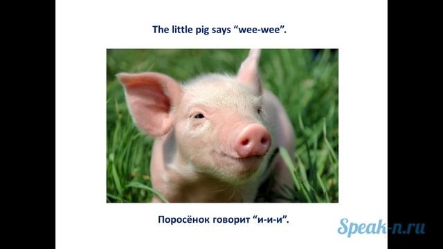 7_2_The Dog Says Bow Wow смотреть онлайн