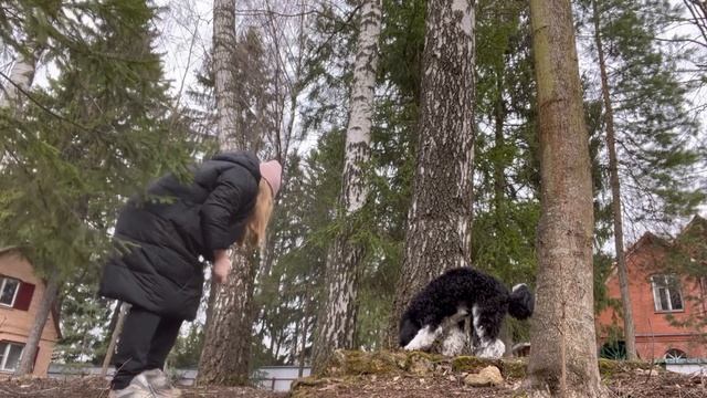 Наша ранняя веснаЗвуки природы. смотреть онлайн