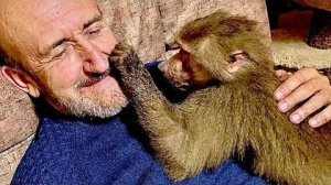 Люська дождалась пока все гамадрилы пошли спать и показывает маме Лиде что папа Влад ТОЛЬКО ЕЕ!!!