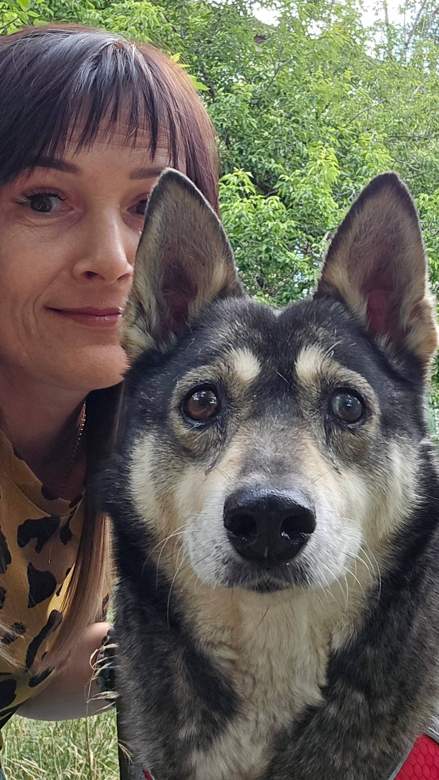 Моя собака Лакуся