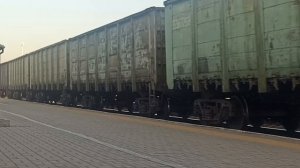 голубь и поезд