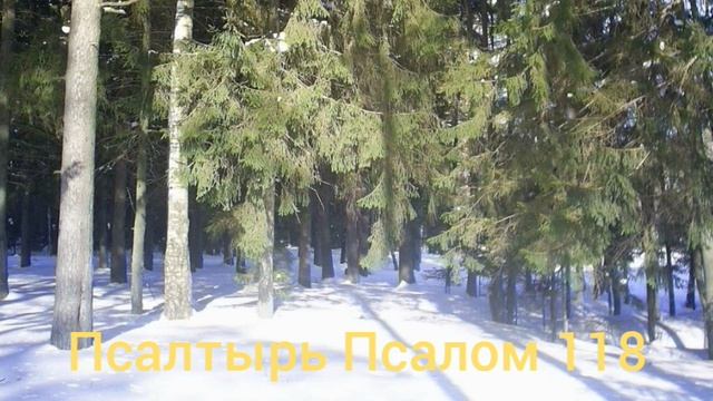 Псалтырь Псалмы Давида 101-150 смотреть онлайн