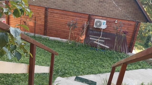 СОЧИ ГОРНОЕ ЛОО УТРО 07.07.2025 смотреть онлайн