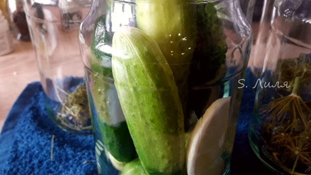 Огурчики Пражские на зиму
#огурцы#наЗиму#заготовки смотреть онлайн