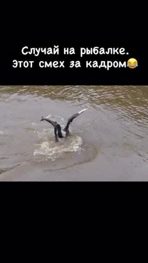 Случай на рыбалке 🎣