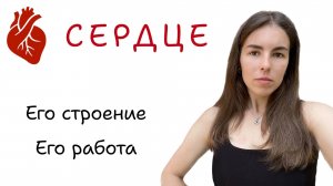 СЕРДЕЧНО - СОСУДИСТАЯ СИСТЕМА ЧЕЛОВЕКА