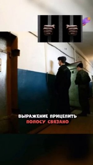 СПОРТ В ТЮРЬМЕ