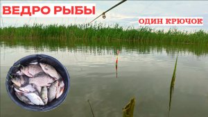 ЛОВЛЯ НА ПОПЛАВОК В МЕТРЕ ОТ БЕРЕГА!РЫБАЛКА НА КАРАСЯ!РЕЛАКС ДА И ТОЛЬКО))