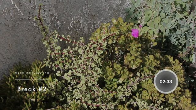 Study With Me - Pomodoro