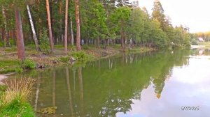 2025/7/5:  О вырубке кустов и мелких деревьев по всем берегам Лесного пруда. Аудио-фельетон. Почти.