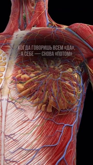 А ты уверена, что это гормональный сбой? смотреть онлайн