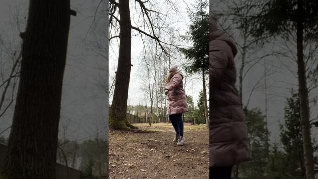 Утренняя разминка #8марта #наприроде #пудель #dance #собака смотреть онлайн