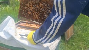 Однорамочные отводки.