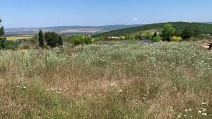 07.07.2025 GAI-KODZOR