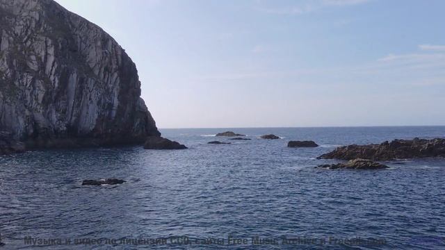 Природа в 360° VR - полное погружение в будущее! - Dragonbreath -- Podington Bear -- Said Lion To La