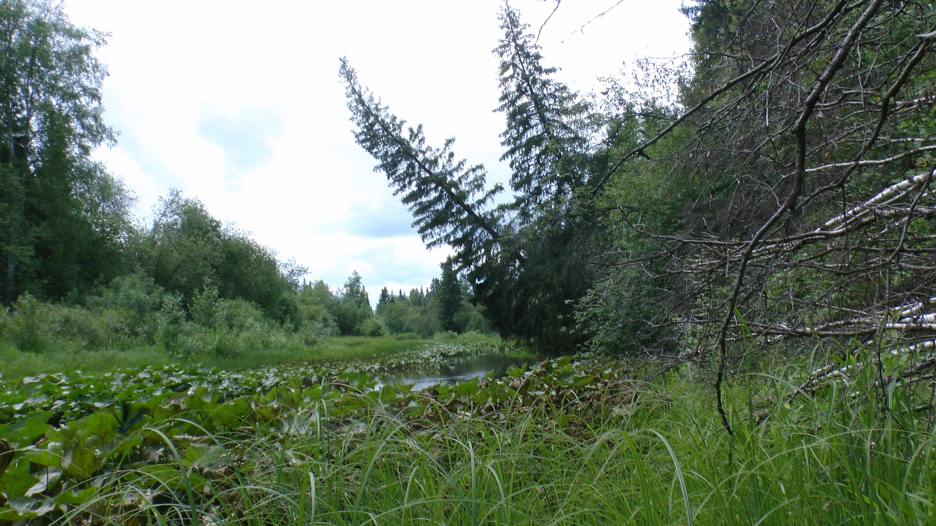 Неспешные зарисовки в окр Староуткинска 2025 г