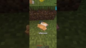 Майнкрафт лайфхаки