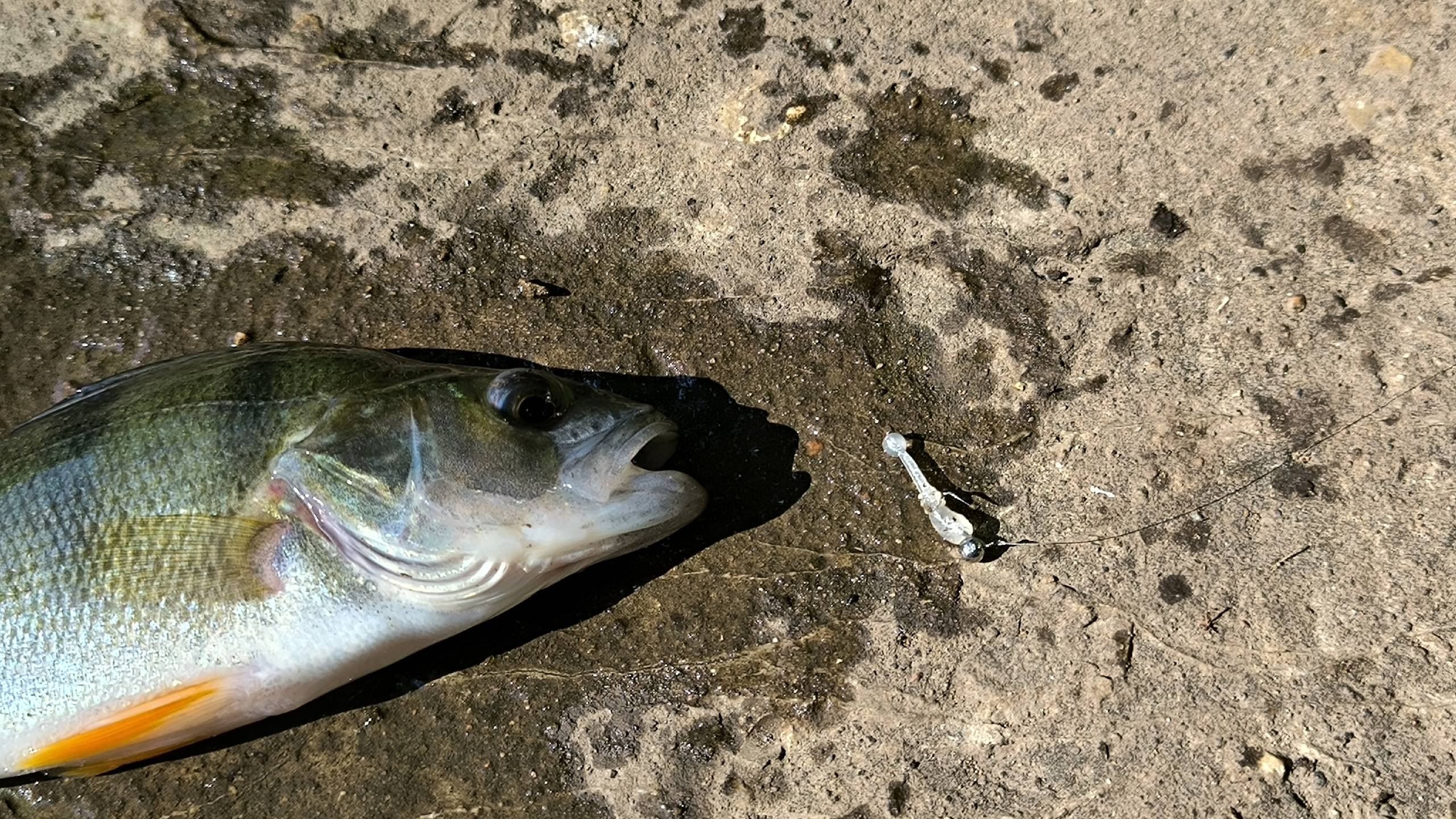волшебство мормышинга смотреть онлайн