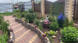 В гостях у подружки, гуляем по саду-огороду. 
Не смогла уехать, что бы не сделать обзор усадьбы!